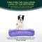 Show in main carousel: FitPAWS K9FITbone Dog Training Giant Balancing Bone, Violet slide 4 of 10