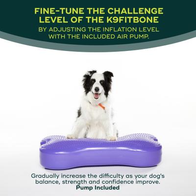 Show full view: FitPAWS K9FITbone Dog Training Giant Balancing Bone, Violet slide 4 of 10