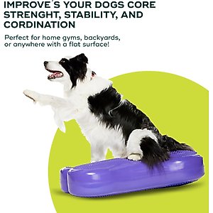 FitPAWS K9FITbone Dog Training Giant Balancing Bone, Violet