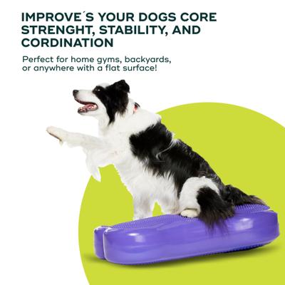 Show full view: FitPAWS K9FITbone Dog Training Giant Balancing Bone, Violet slide 2 of 10