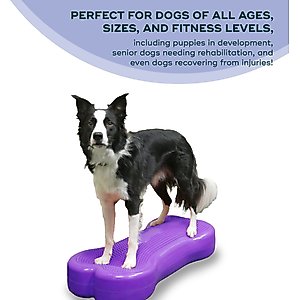 FitPAWS K9FITbone Dog Training Giant Balancing Bone, Violet