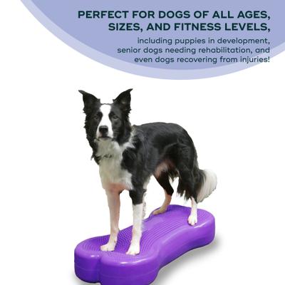 Show full view: FitPAWS K9FITbone Dog Training Giant Balancing Bone, Violet slide 3 of 10