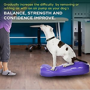 FitPAWS K9FITbone Dog Training Giant Balancing Bone, Violet
