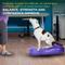 Show in main carousel: FitPAWS K9FITbone Dog Training Giant Balancing Bone, Violet slide 5 of 10