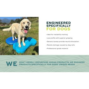 FitPAWS K9FITbone Dog Training Giant Balancing Bone, Turquoise