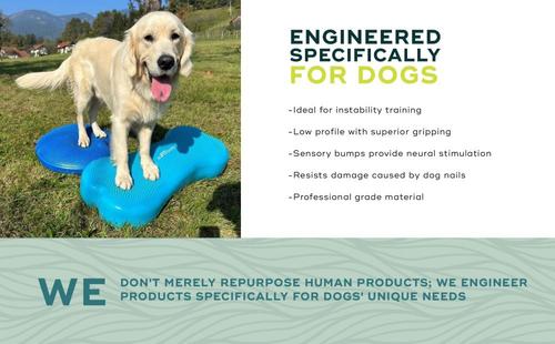 Show full view: FitPAWS K9FITbone Dog Training Giant Balancing Bone, Turquoise slide 8 of 11