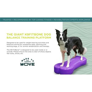 FitPAWS K9FITbone Dog Training Giant Balancing Bone, Turquoise