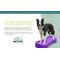 Show in main carousel: FitPAWS K9FITbone Dog Training Giant Balancing Bone, Turquoise slide 9 of 11