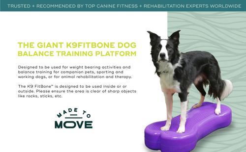 Show full view: FitPAWS K9FITbone Dog Training Giant Balancing Bone, Turquoise slide 9 of 11
