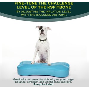 FitPAWS K9FITbone Dog Training Giant Balancing Bone, Turquoise