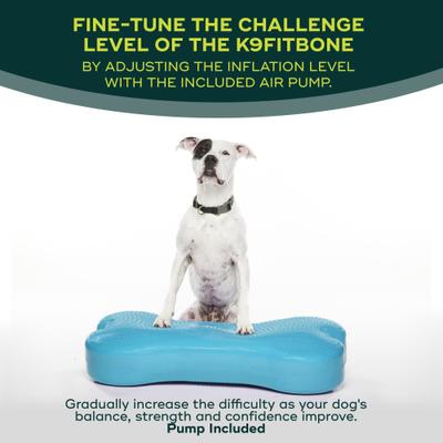 Show full view: FitPAWS K9FITbone Dog Training Giant Balancing Bone, Turquoise slide 5 of 11