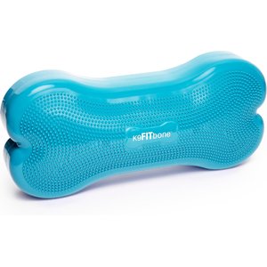 FitPAWS K9FITbone Dog Training Giant Balancing Bone, Turquoise