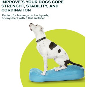 FitPAWS K9FITbone Dog Training Giant Balancing Bone, Turquoise