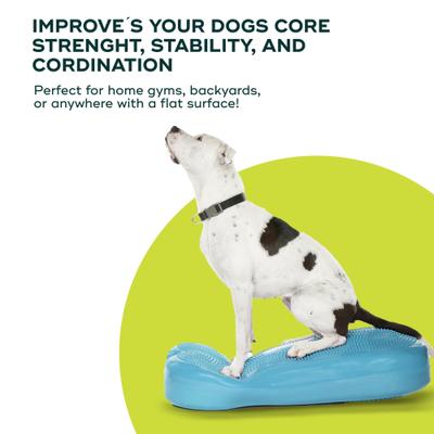 Show full view: FitPAWS K9FITbone Dog Training Giant Balancing Bone, Turquoise slide 3 of 11