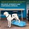 Show in main carousel: FitPAWS K9FITbone Dog Training Giant Balancing Bone, Turquoise slide 6 of 11