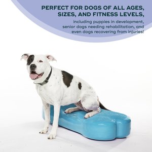 FitPAWS K9FITbone Dog Training Giant Balancing Bone, Turquoise