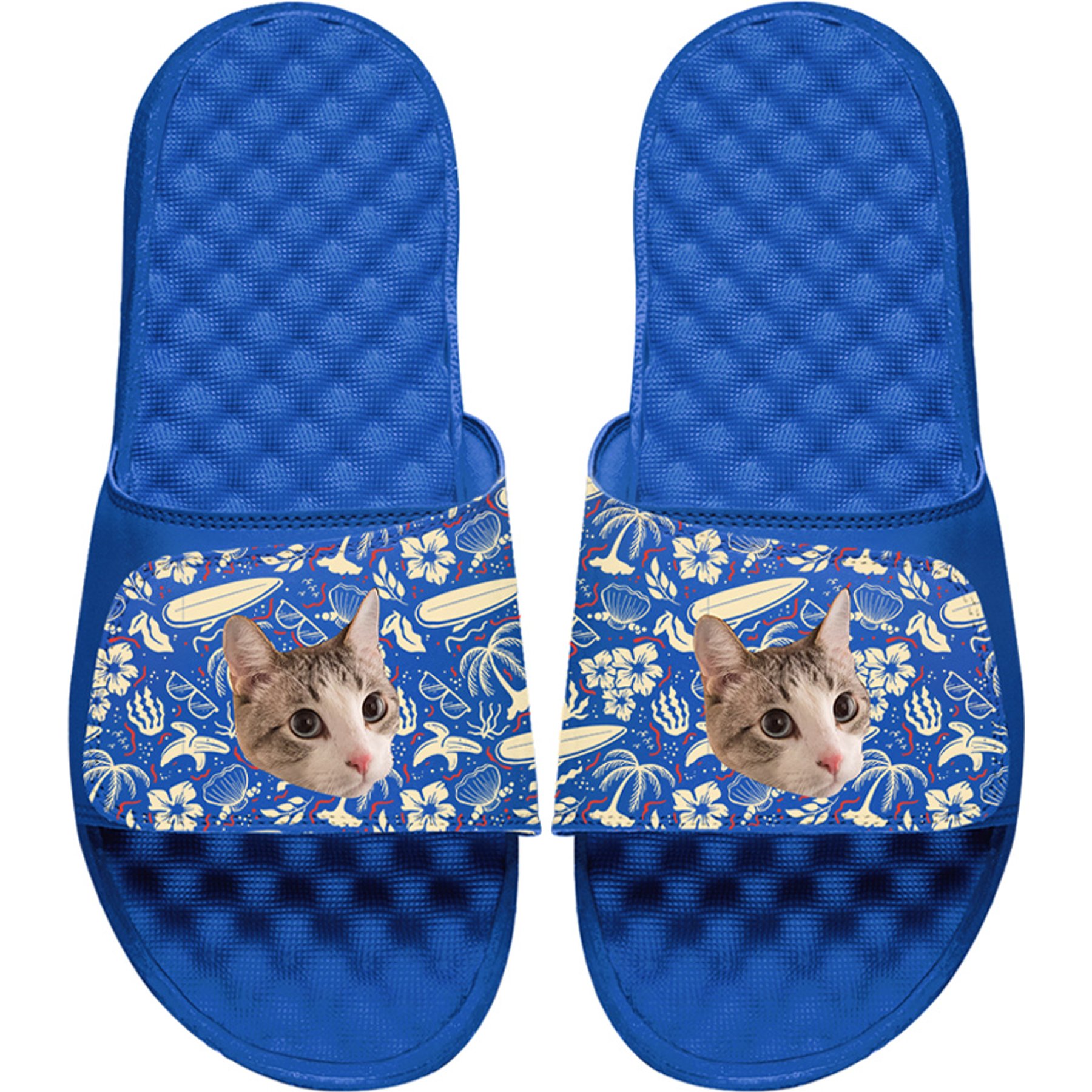ISlide Mantra Cat Surfboard Personalized Slides, Royal Blue, W8 / M7
