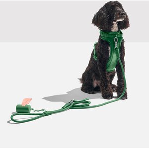 Wild One Hands-Free Adjustable Rope Dog Leash, Standard: 4 1/3 to 8 1/2-ft long, 1/2-in wide, Spruce