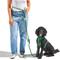 Show in main carousel: Wild One Hands-Free Adjustable Rope Dog Leash, Standard: 4 1/3 to 8 1/2-ft long, 1/2-in wide, Spruce slide 3 of 9