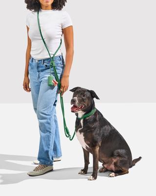 Show full view: Wild One Hands-Free Adjustable Rope Dog Leash, Standard: 4 1/3 to 8 1/2-ft long, 1/2-in wide, Spruce slide 4 of 9