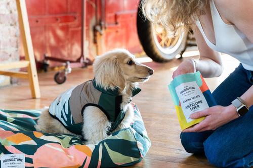 Show full view: ADC Houndstone & Co. 2-in-1 Reversible Tropical Camo & Soft Velcro Closure Camouflage Insulated Dog Puffer Vest, Green, X-Small slide 8 of 10