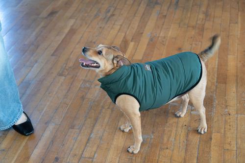 Show full view: ADC Houndstone & Co. 2-in-1 Reversible Tropical Camo & Soft Velcro Closure Camouflage Insulated Dog Puffer Vest, Green, X-Small slide 10 of 10
