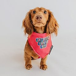 Sassy Woof Mean Girls She Doesn't Even Go Here Dog Bandana, Pink, Small slide 2 of 7