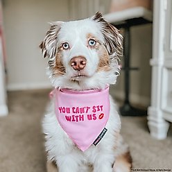 Sassy Woof Mean Girls You Can't Sit with Us Dog Bandana, Pink, Large slide 2 of 7