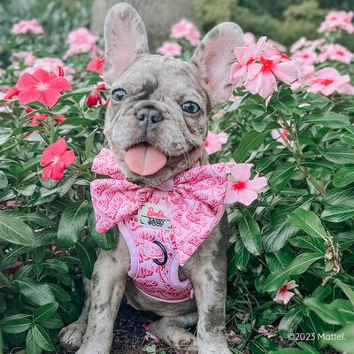 Show full view: Sassy Woof BARBIE Malibu Sailor Dog Bow Collar Accessory, Pink, One Size slide 5 of 5