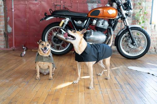 Show full view: ADC Houndstone & Co. Waxed Canvas Fleece Lined Solid Waterproof Dog Jacket, Black, Small slide 7 of 9