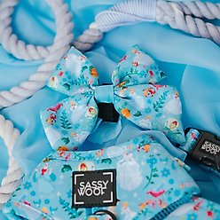 Sassy Woof Disney Princess Sailor Dog Bow Collar Accessory, Disney's Cinderella, One Size slide 2 of 5