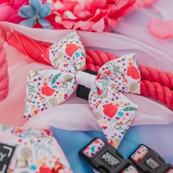 Sassy Woof Disney Princess Sailor Dog Bow Collar Accessory, Disney's Aurora, One Size slide 2 of 5