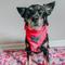 Show in main carousel: Sassy Woof Mean Girls She Doesn't Even Go Here Dog Bandana, Pink, Small slide 7 of 7