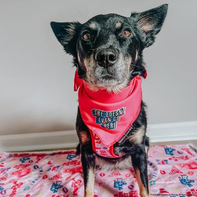 Show full view: Sassy Woof Mean Girls She Doesn't Even Go Here Dog Bandana, Pink, Small slide 7 of 7