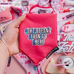 Sassy Woof Mean Girls She Doesn't Even Go Here Dog Bandana, Pink, Medium slide 2 of 7