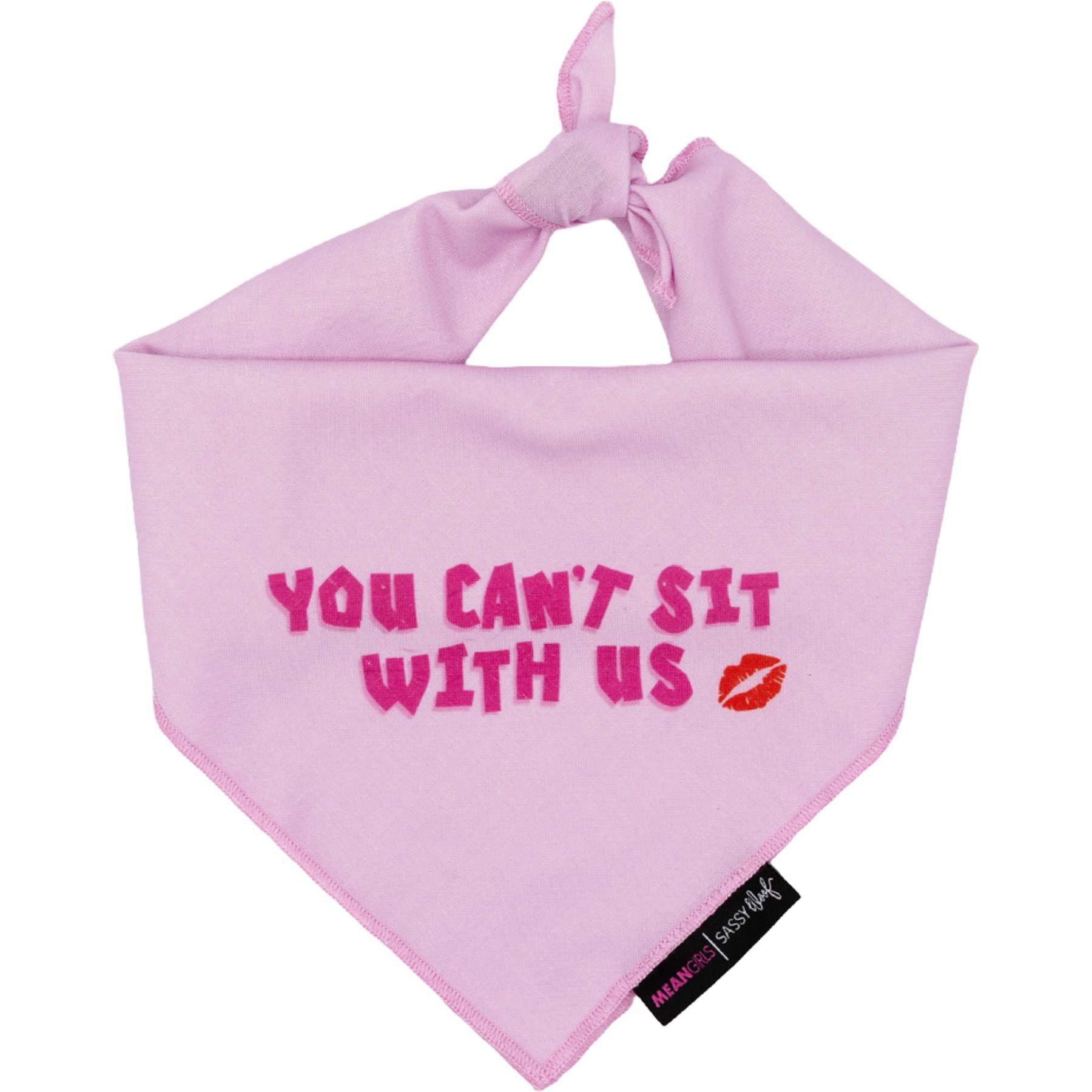 Sassy Woof Mean Girls You Can't Sit with Us Dog Bandana, Pink, Large