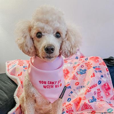 Show full view: Sassy Woof Mean Girls You Can't Sit with Us Dog Bandana, Pink, Small slide 6 of 7