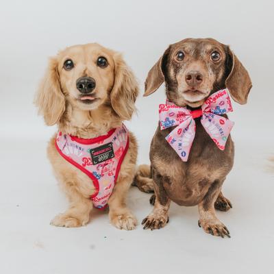 Show full view: Sassy Woof Mean Girls Sailor Dog Bow Collar Accessory, Pink, One Size slide 5 of 5