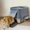Show in main carousel: Wisfor Enclosed Stainless Steel Cat Litter Box slide 2 of 9