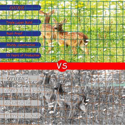 Show full view: Hittite PVC Coated Welded Wire Galvanized 14-Guage 2 x 4-in Mesh Fence, Green, 24-in x 50-ft roll slide 2 of 8