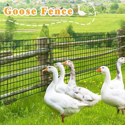 Show full view: Hittite PVC Coated Welded Wire Galvanized 14-Guage 2 x 4-in Mesh Fence, Green, 24-in x 50-ft roll slide 6 of 8