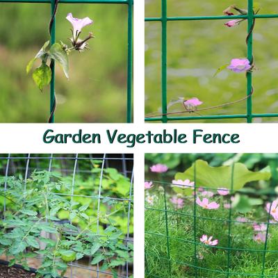 Show full view: Hittite PVC Coated Welded Wire Galvanized 14-Guage 2 x 4-in Mesh Fence, Green, 24-in x 50-ft roll slide 5 of 8