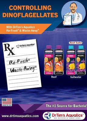 Show full view: Dr. Tim's Aquatics Freshwater Waste-Away Aquarium Cleaner, 4-fl oz bottle slide 4 of 8