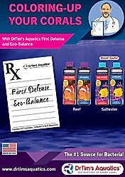 Dr. Tim's Aquatics Reef First Defense Marine Aquarium Cleaner, 4-fl oz bottle slide 2 of 5