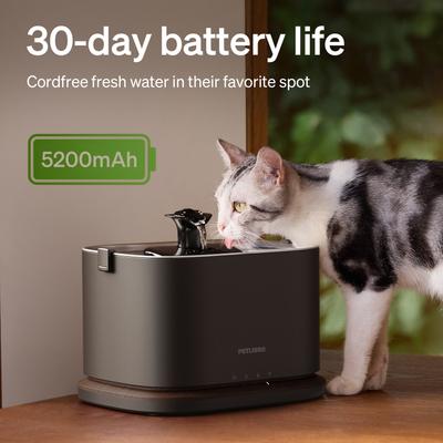 Show full view: Petlibro Dockstream 2 Stainless Steel Cordless Rechargeable Cat Water Fountain, Black, 3-l slide 4 of 10