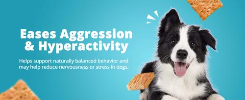 Show full view: Heavenly Hounds Relaxation Square Peanut Butter Flavor Stress & Anxiety Relief Dog Supplement, 12 count slide 7 of 10