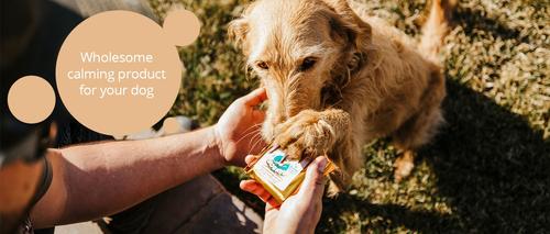 Show full view: Heavenly Hounds Relaxation Square Peanut Butter Flavor Stress & Anxiety Relief Dog Supplement, 12 count slide 9 of 10