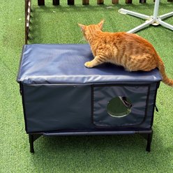 Wagstro Elevated Foam Panel Rain Roof Heavy Duty Polyester Outdoor Heated Cat House, Blue, Large slide 2 of 5