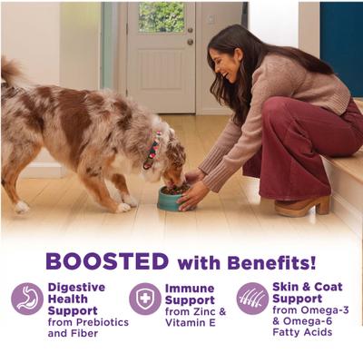 Show full view: Wellness Bowl Boosters Hearty Toppers Chicken Wet Dog Toppers, 5.5-oz bag, 12 count slide 4 of 11