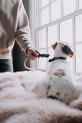 HOOZA Quick Clip Rope Dog Leash, Almond, Medium: 5-ft long, 9/16-in wide slide 2 of 3